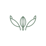 Graines de bien-être